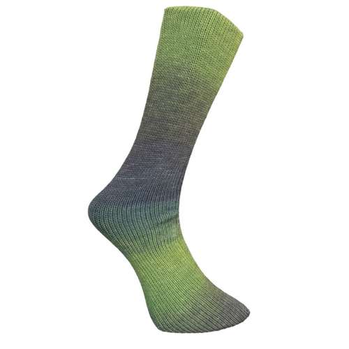 Ferner-Sockenwolle-Farbe-954-26